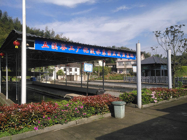 三文魚養(yǎng)殖基地